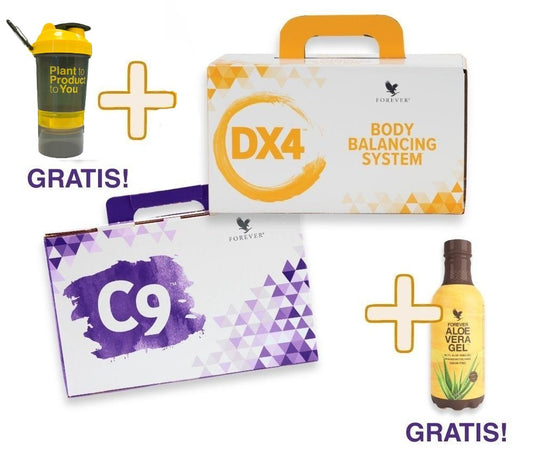 13 Dagen FIT Programma